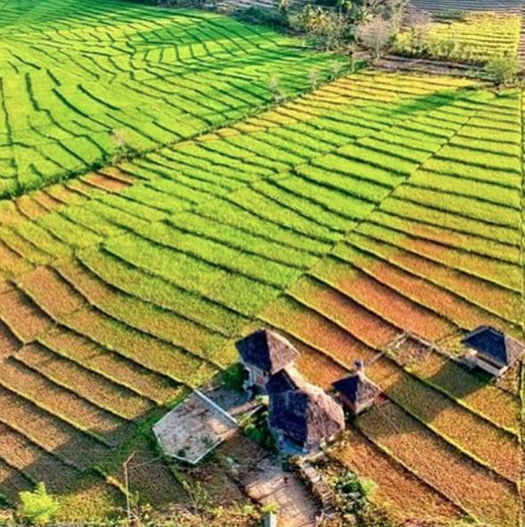 Tado Homestay Limbung Екстериор снимка
